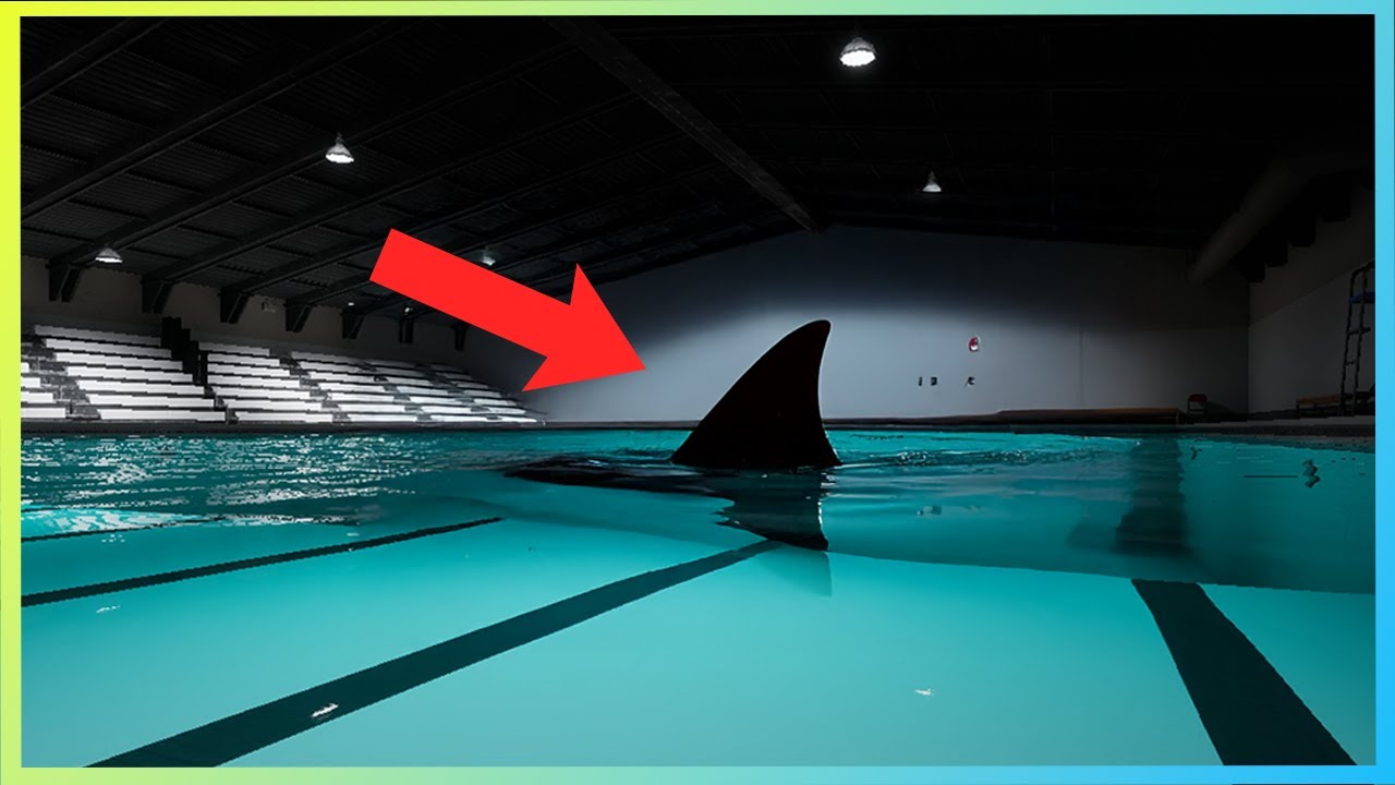 There's a Shark in the Pool...