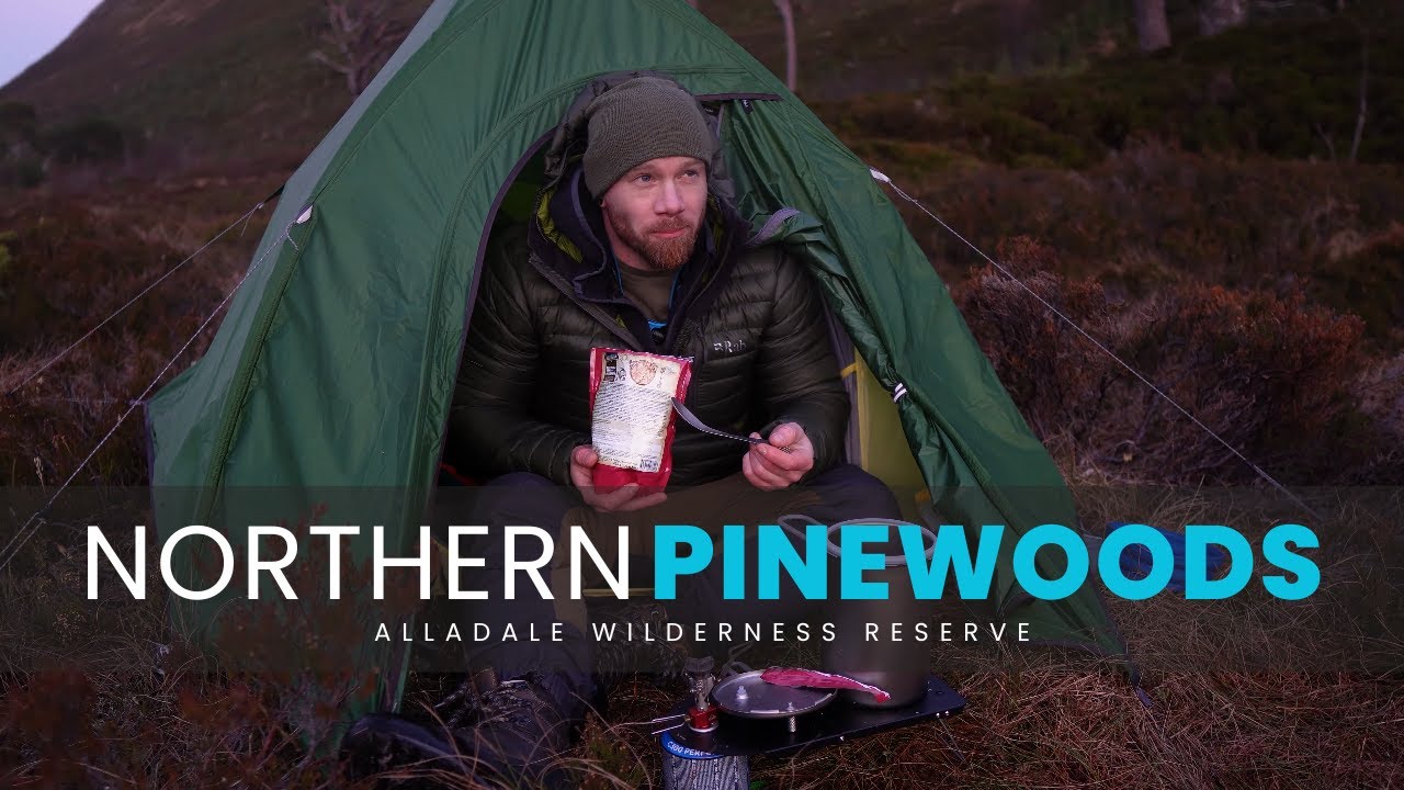 Solo Camping in the Northern Pinewoods