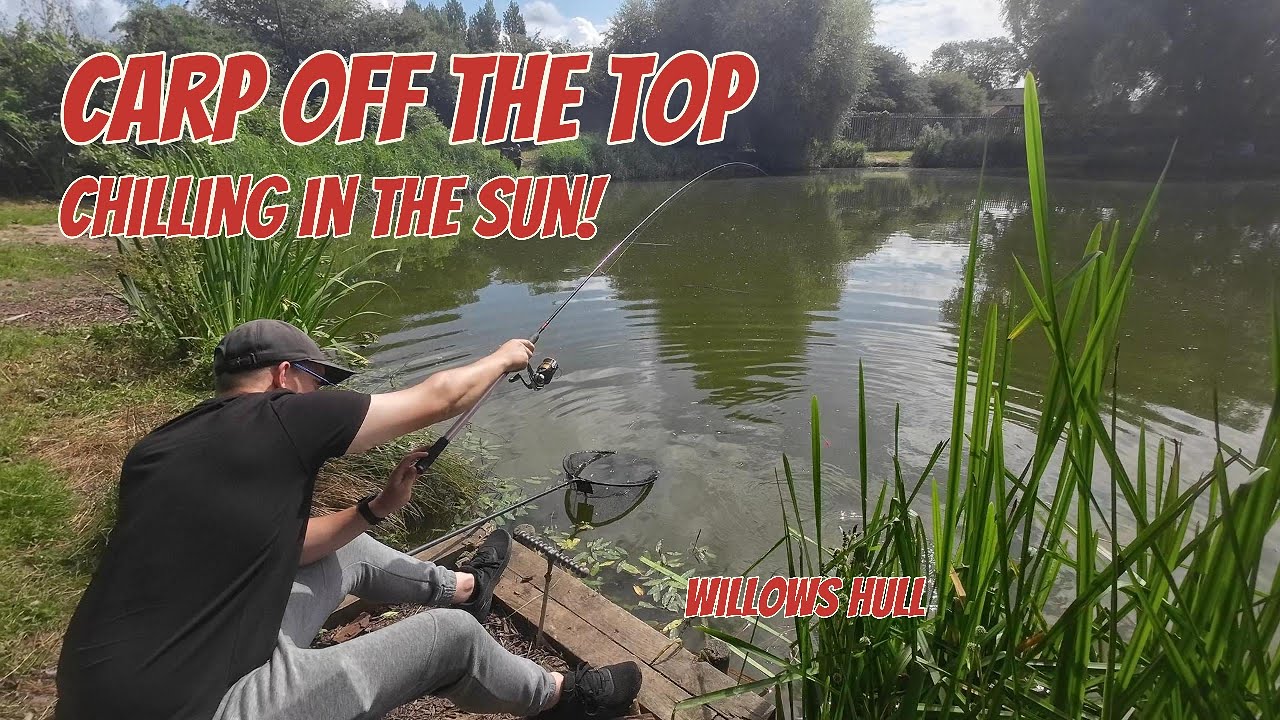 willows  Tench fishing, carp off the top (july 2024)