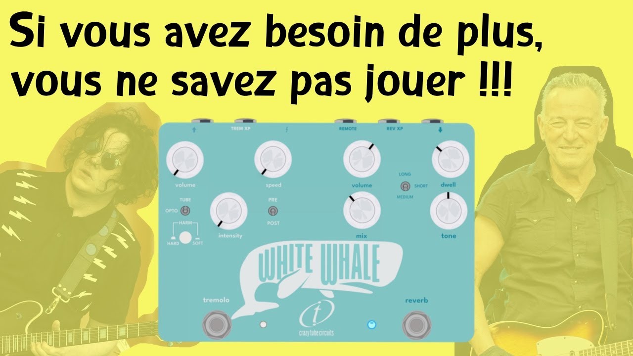 L'indispensable en analo : spring reverb + tremolo !  Crazy Tube Circuits White Whale 2