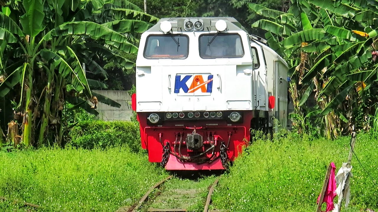 KERETA BLUSUKAN KEBUN DENGAN REL PENUH RUMPUT ! DISINI ADA WESEL INGGRIS YANG UNIK !