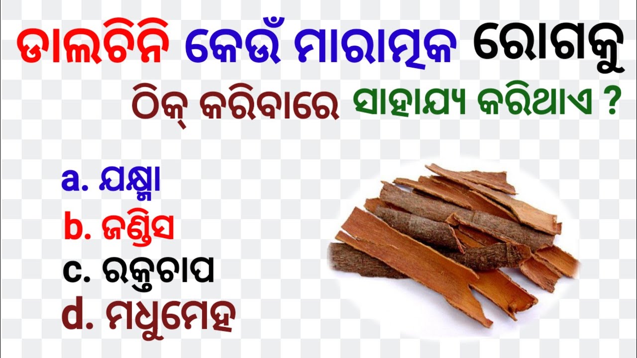 Odia Top 12 GK || Odisha Top 12 GK 2025  ll  odisha gk quiz 2025 || 