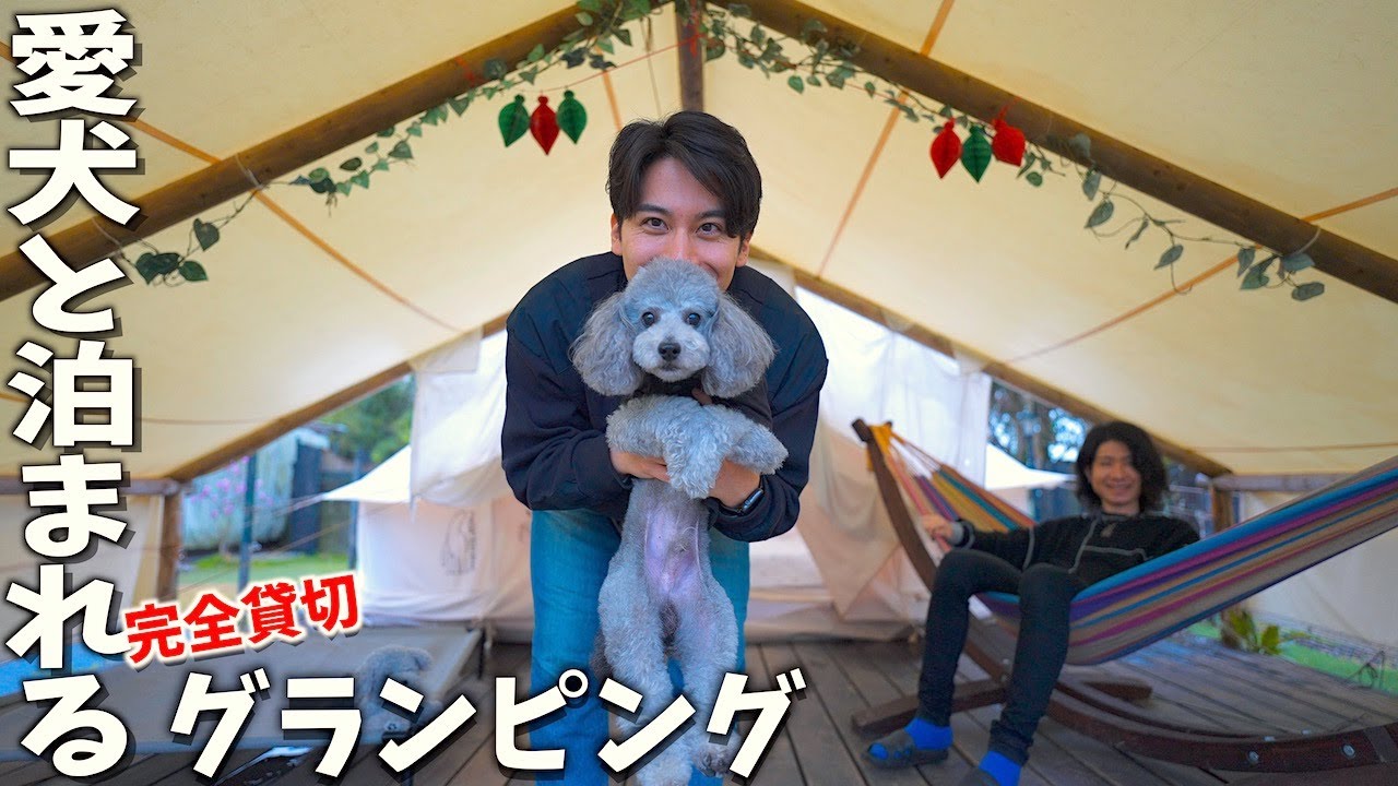🐶愛犬と泊まれる完全貸切のグランピング施設が最高でした。【1日1組限定】【トイプードル】