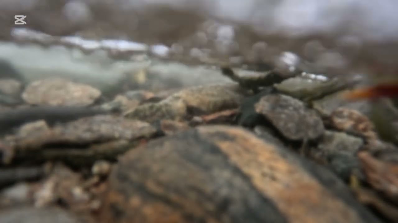 Wind, 💨 ICE,🧊 and the sea 🌊 #gopro #relaxing #water #artic 