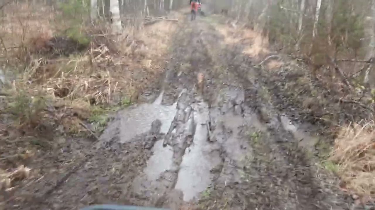 Metsavahel ATV-ga mudasel teel