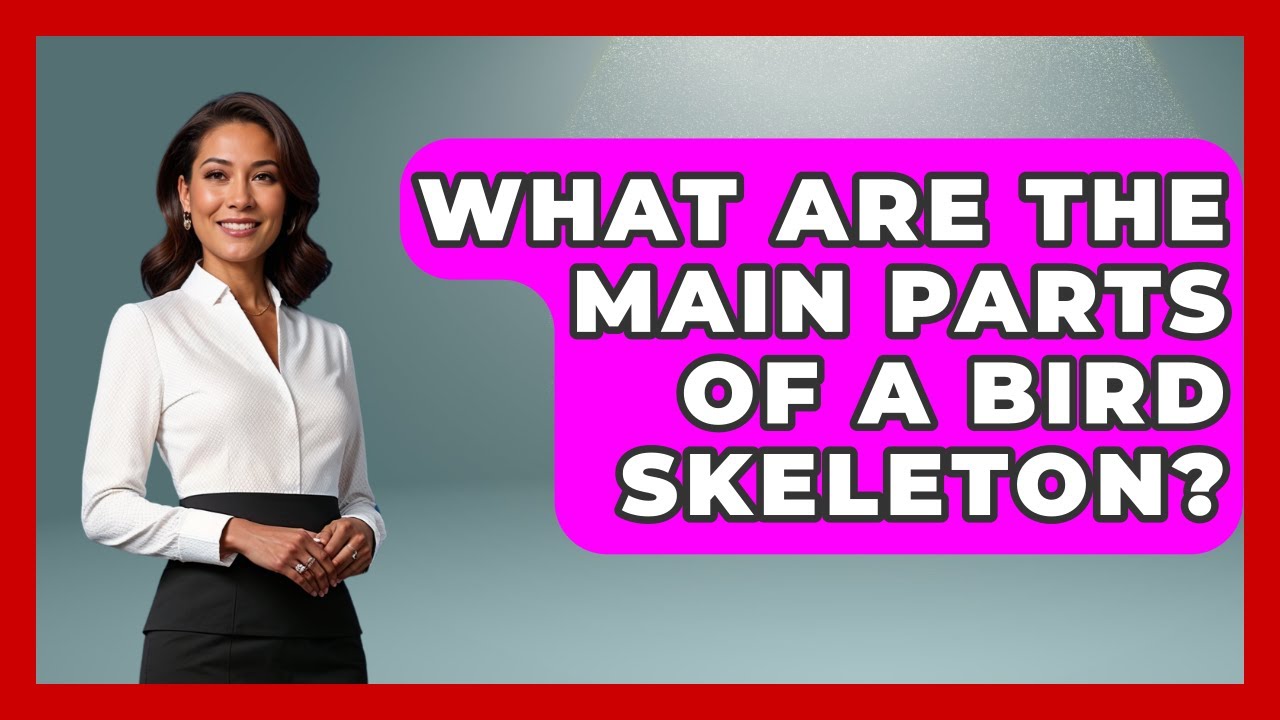 What Are The Main Parts Of A Bird Skeleton? - Bird Watching Diaries