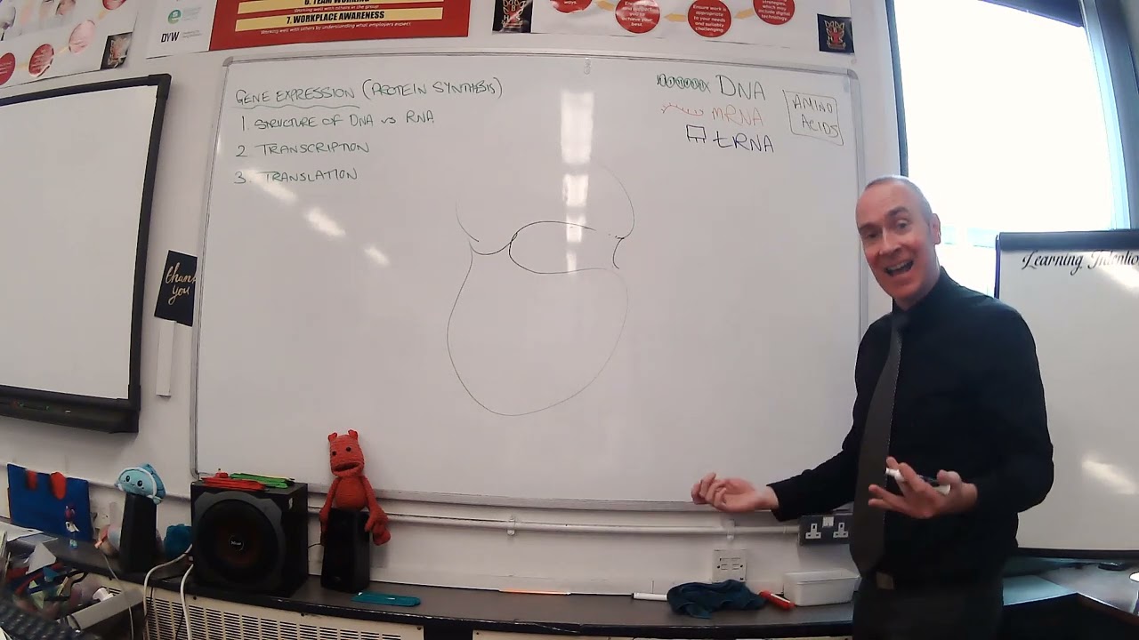 Higher Human Biology - Unit 1 - Gene Expression