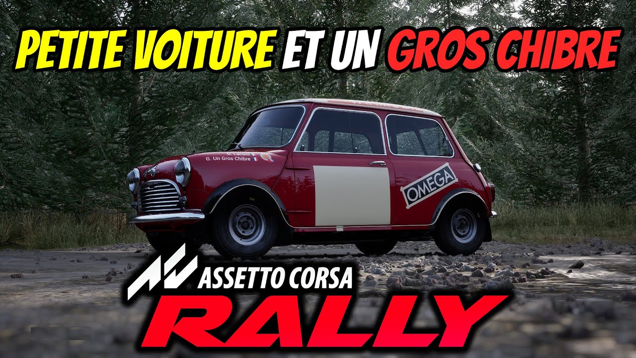 POV PETITE VOITURE GROS CHIBRE (ASSETTO CORSA RALLY)
