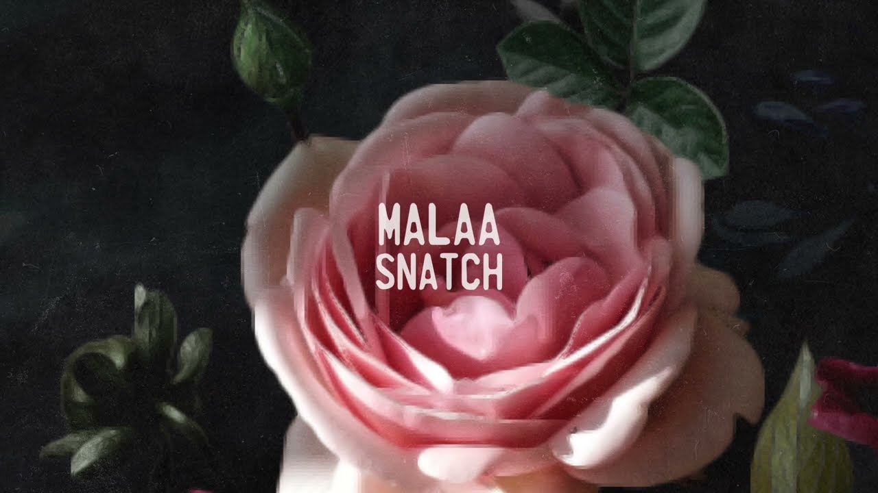Malaa - Snatch
