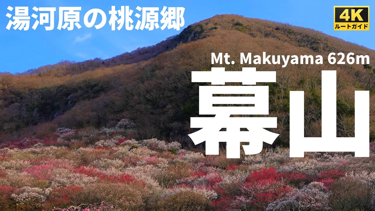 【ルート解説】花の百名山「幕山」～湯河原梅林、幕山、南郷山を周回するマイカー登山コース(アクセス・駐車場情報あり)～ Course Guide of Mt. Makuyama