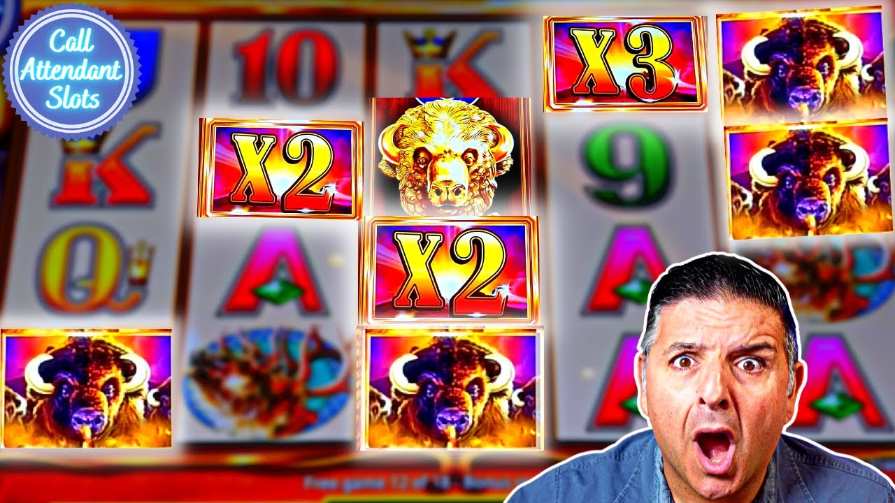 The Most Bizarre JACKPOT EVER on Buffalo! You Have to See it to Believe it!