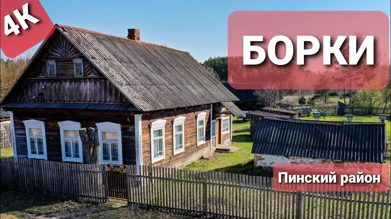 Деревня  моего  детства! Борки , Пинский  район . Весна 2021 #деревня #ВАСЬКАПИЛОТ