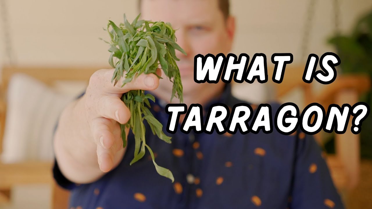 What is Tarragon and What is It Used For? Essential Tips By Chef Paul Reilly | Lanyap Cookery