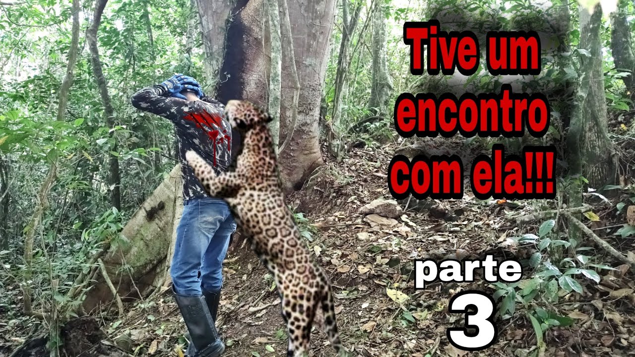 A onça me cercou e ainda roubaram minhas jóias!!!