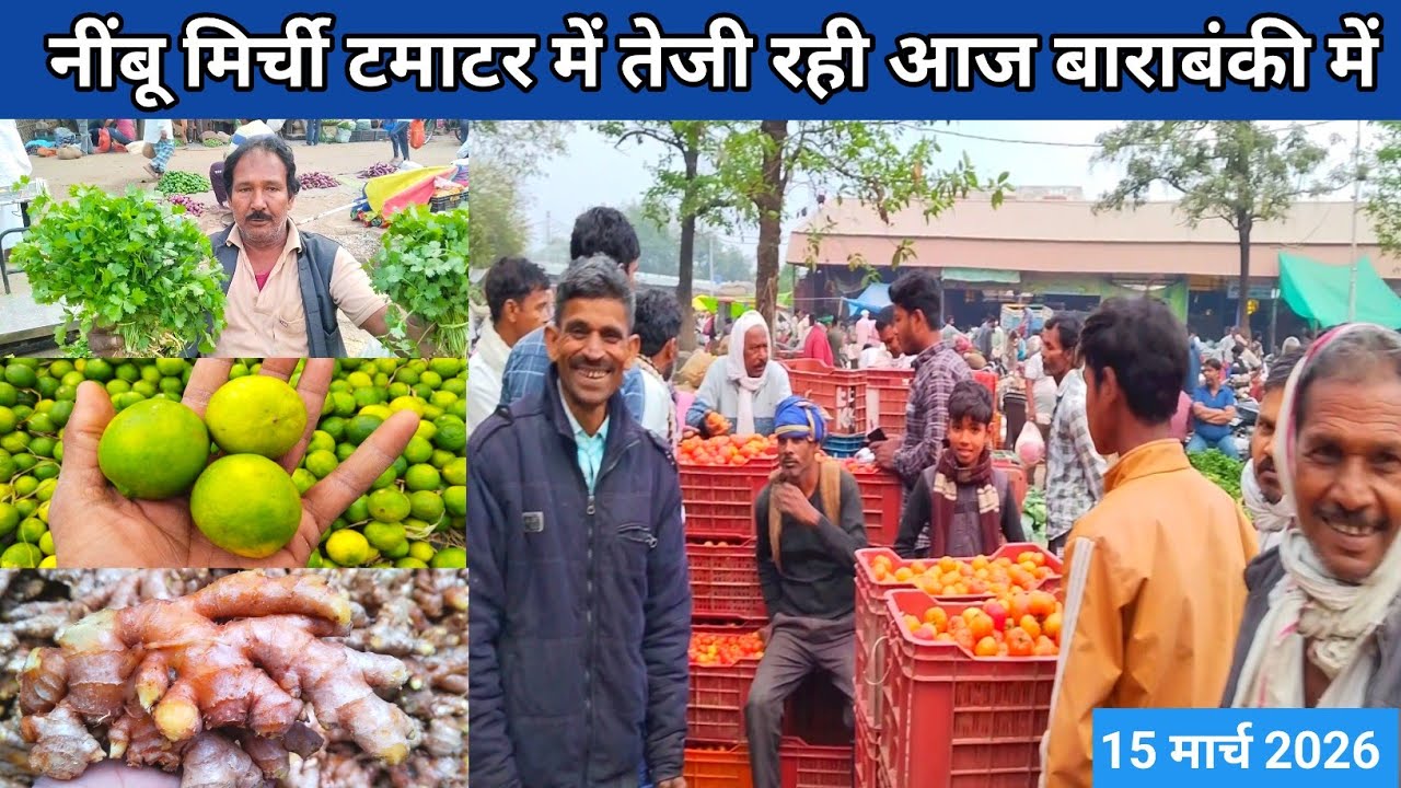 March 15, 2026 Barabanki 💯 नींबू मिर्ची टमाटर में तेजी रही आज बाराबंकी में 🥕 sabjiyon ka rate 