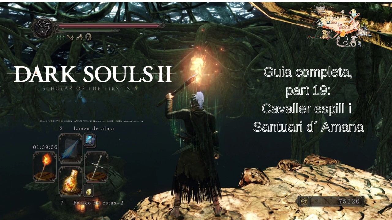 Guia Dark Souls 2,  capítol 19: Cavaller espill i Santuari d´ Amana.