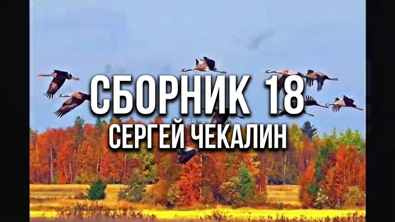 Сборник 18.  Музыка Сергея Чекалина. Collection 18. Music by Sergei Chekalin.