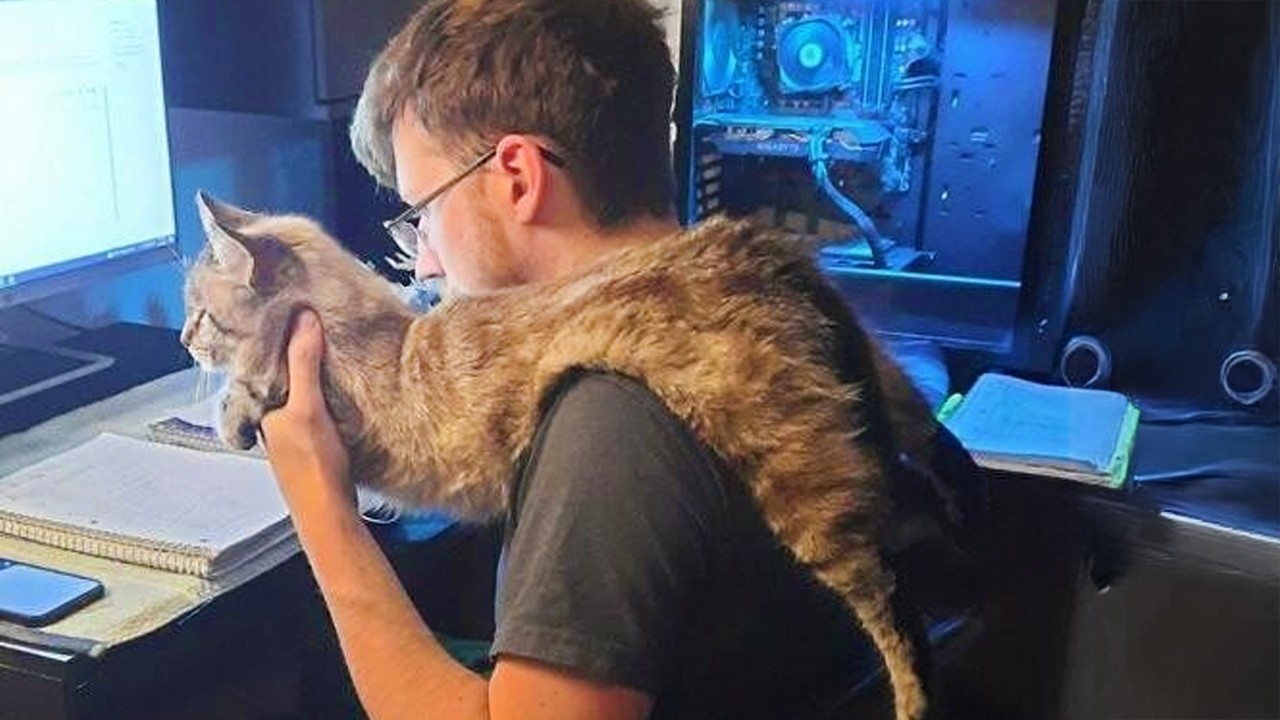 Comedian Cats Like To Imitate Their Humans  😂