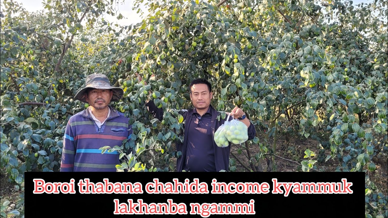 Boroi thabana Chahida Income Kayamuk lakpa ngammi