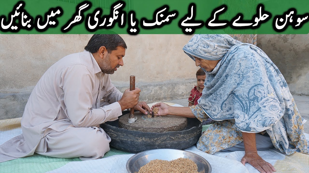 Samnak, Angori, Sohni For Sohan Halwa | سمنک ، انگوری  | How To Make wheat sprouts For Sohan Halwa