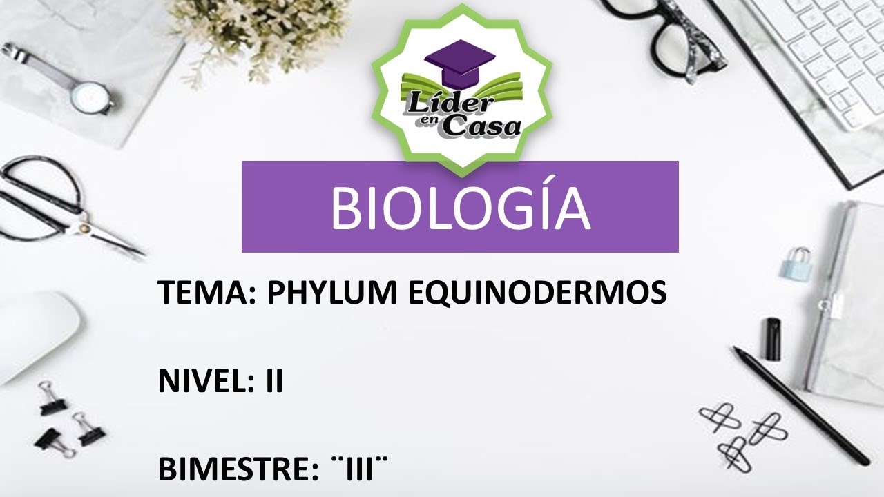 PHYLUM EQUINODERMOS - BIOLOG&Iacute;A - NIVEL II - SECUNDARIA