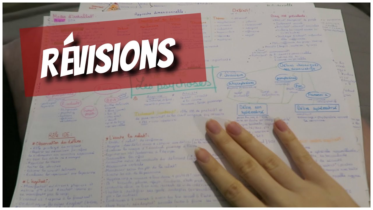 Dernière révisions, mes fiches  | #Emmaanyvlog | #779
