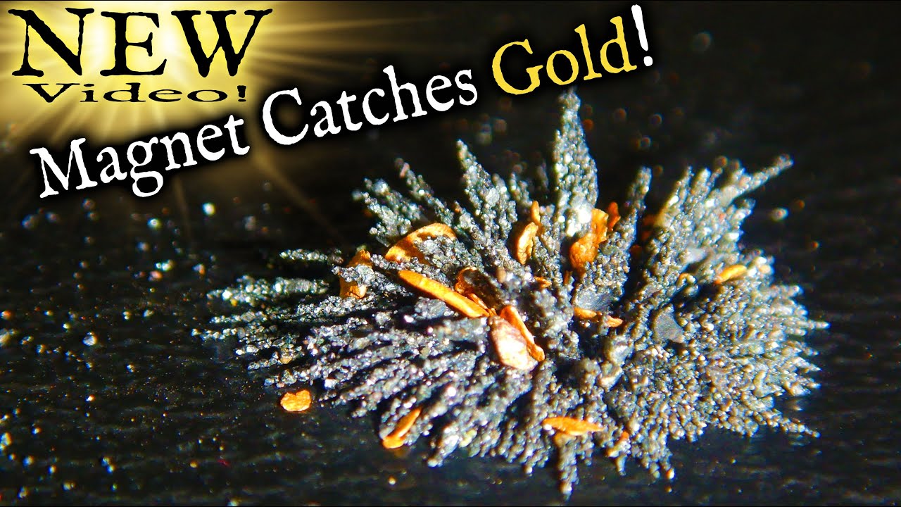 How much gold did we get with this .. MAGNET!?