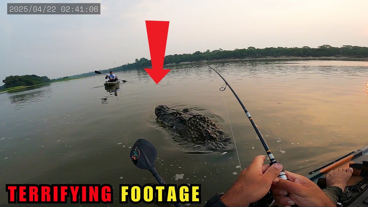 44 Shocking Fishing Encounters Caught on Camera | Ep98