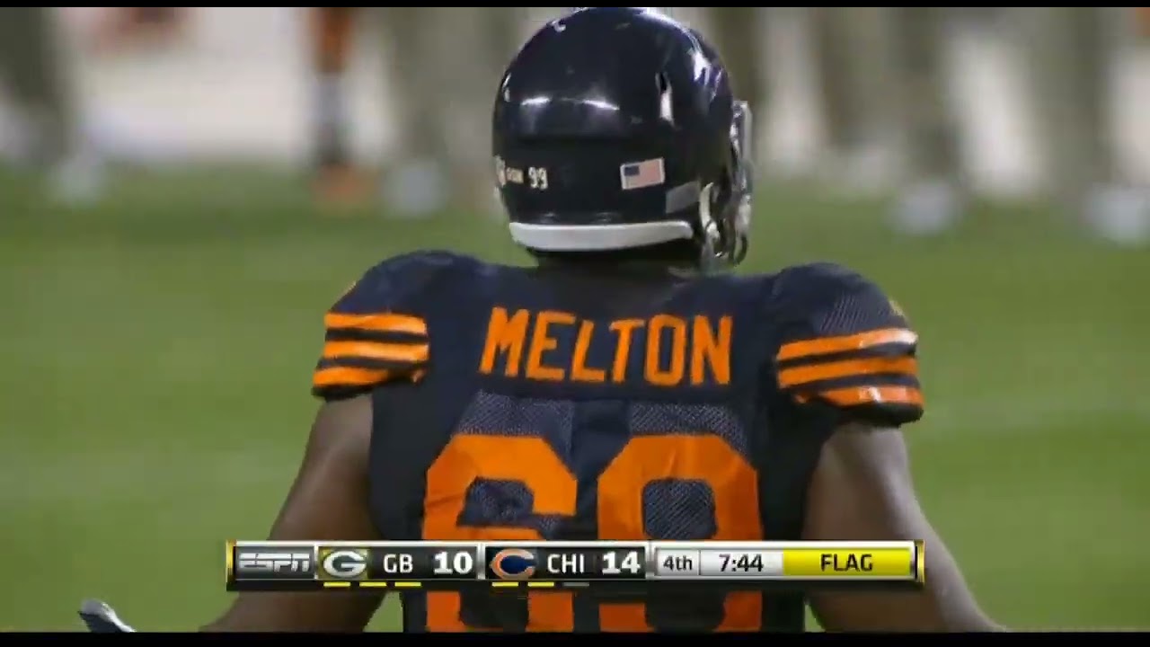 Chicago Bears: 2010 NFL Season Highlights