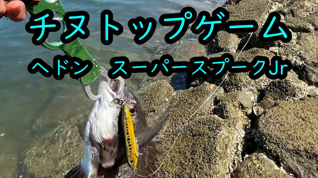 釣り日誌　チヌトップ　へドン　スーパースプークJr