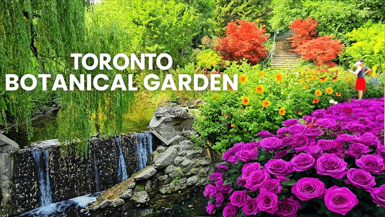 Toronto’s Most Beautiful Garden Walk (You’ll Want to Stay All Day)