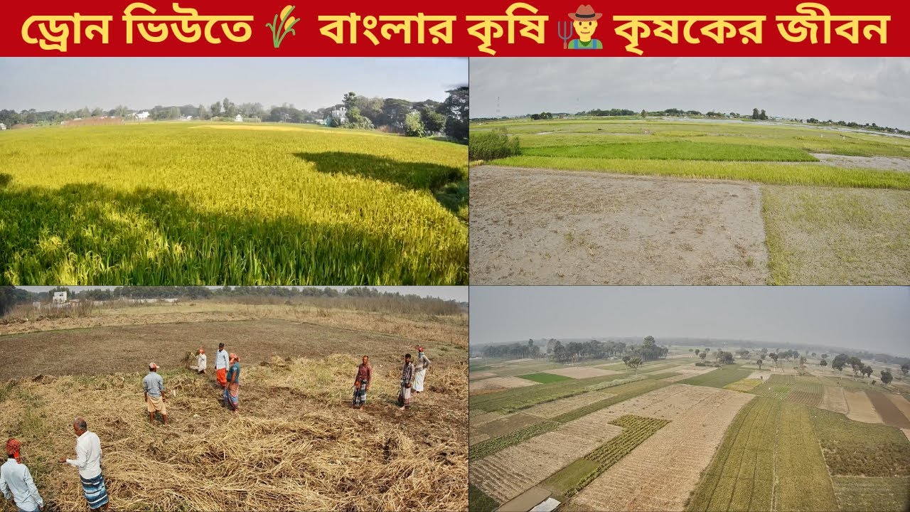 ড্রোনের চোখে বাংলার কৃষি ও কৃষকের জীবন | মাঠে মাঠে সংগ্রামের গল্প!