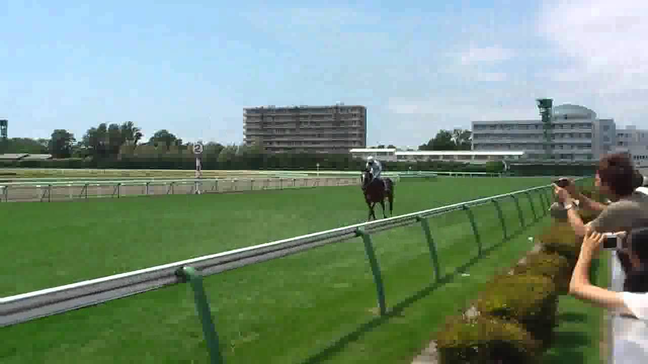 夢の馬券生活を・・・KU競馬で現実に・・・0120225585