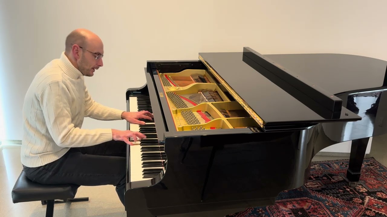 Tchaikovsky: February from The Seasons (Salvatore Vaccarella)