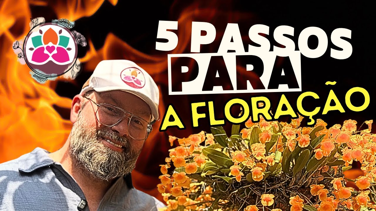Minha orquídea não floresce - DESCUBRA OS 5 ERROS MAIS COMUNS (E COMO RESOLVER)
