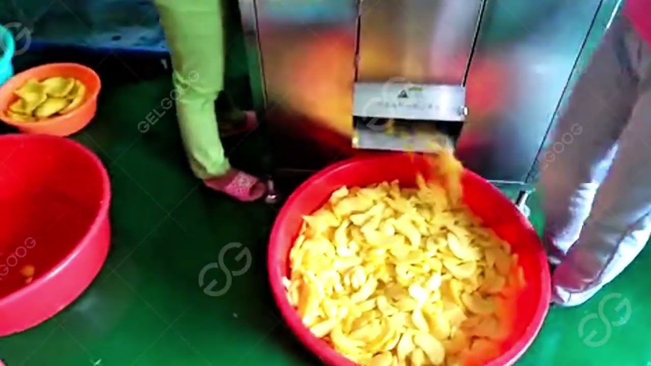 Mango Slicer Machine