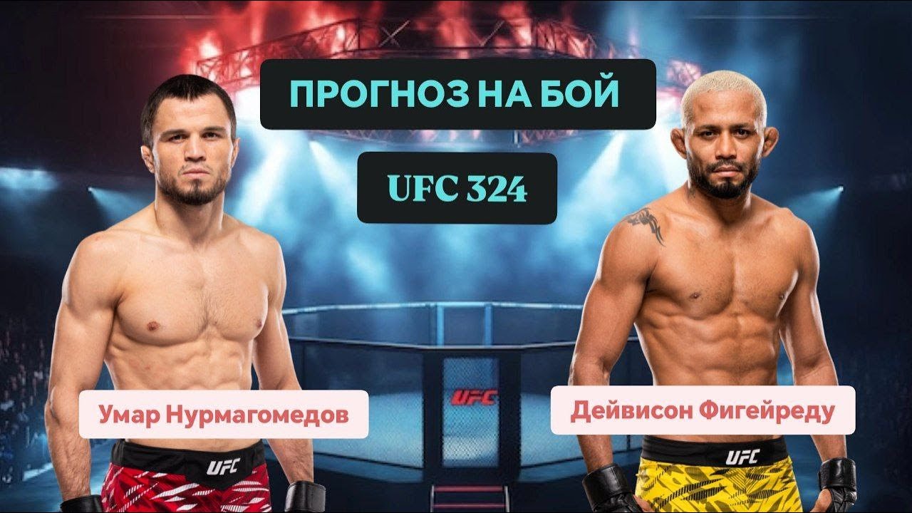 UFC 324.Прогноз на бой: Умар Нурмагомедов - Дейвисон Фигейредо.