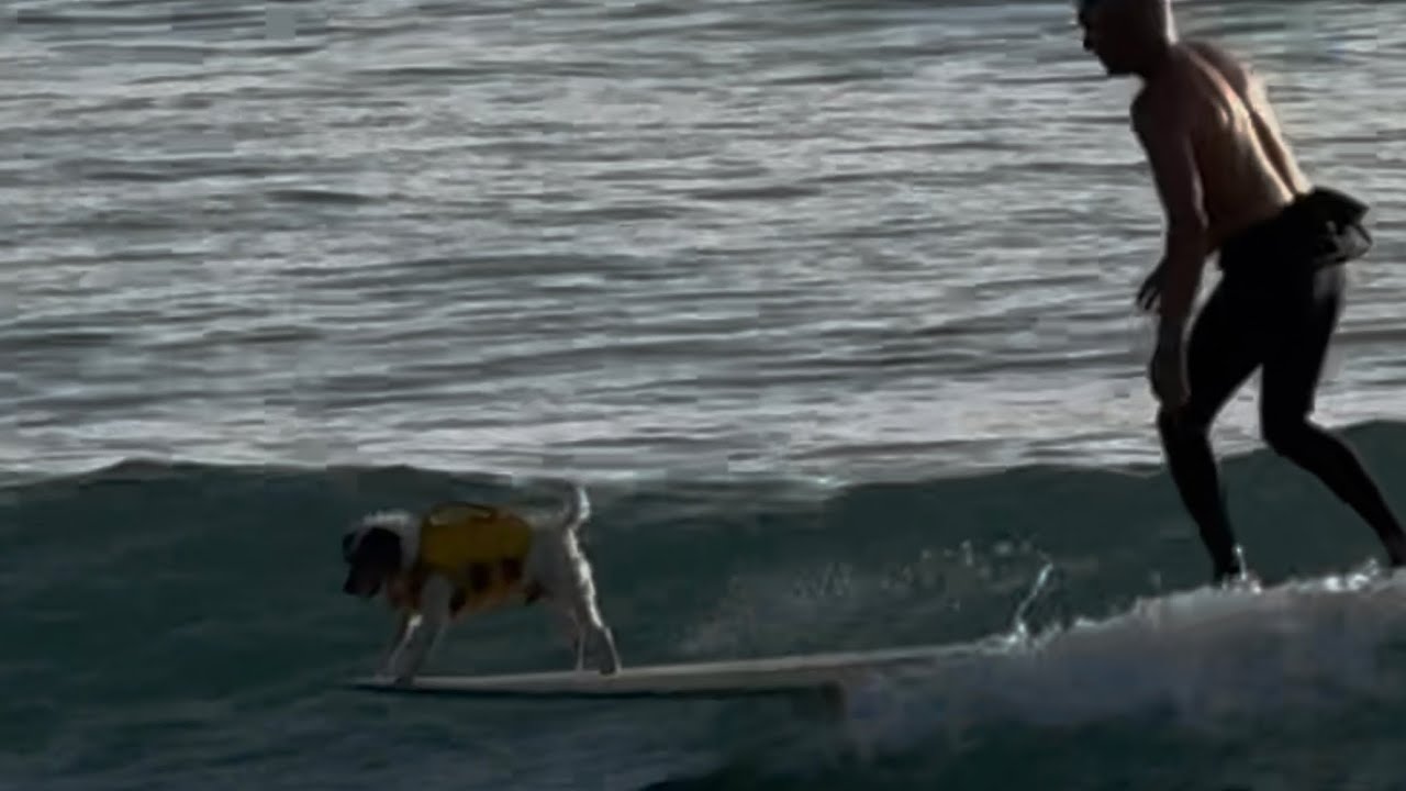 Mostly swami’s surf film