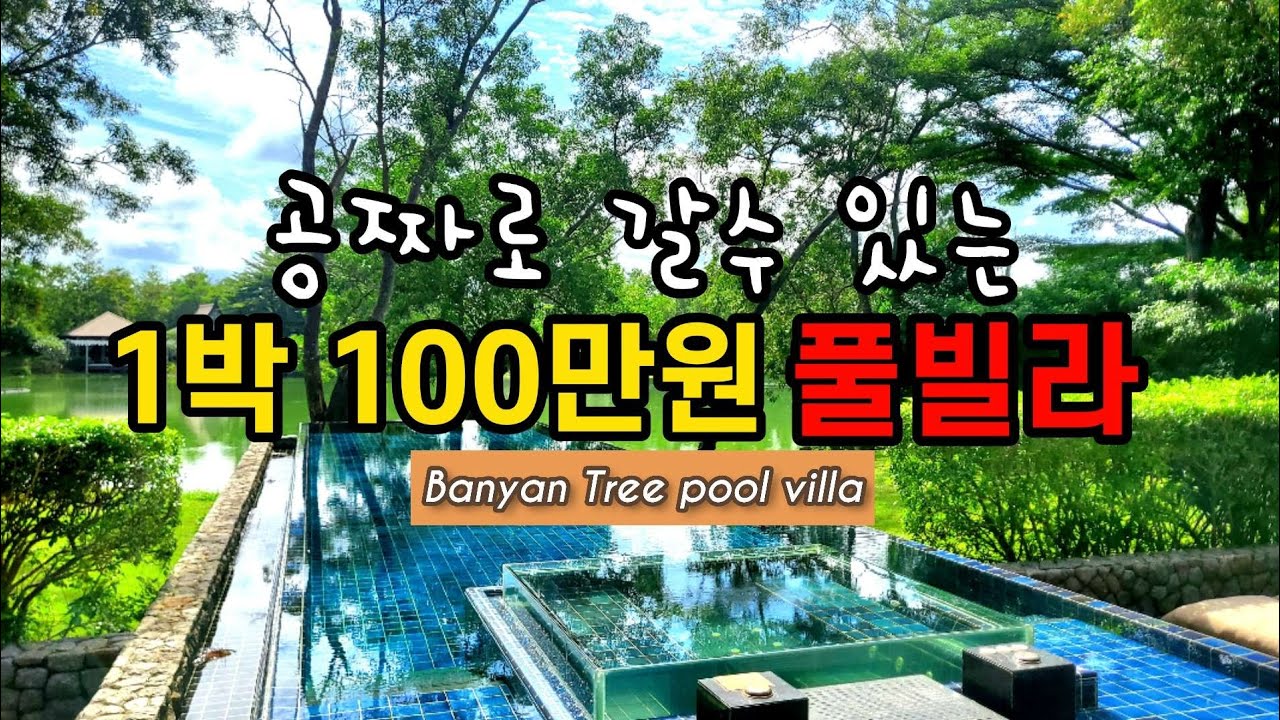 🇹🇭허니로드_푸켓 반얀트리를 공짜로 이용하는 방법. 여긴 무조건 가세요. 푸켓 1등 로컬새우국수 맛집 대공개!