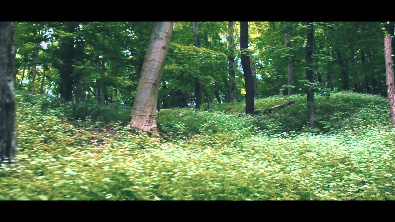 Untouched Nature