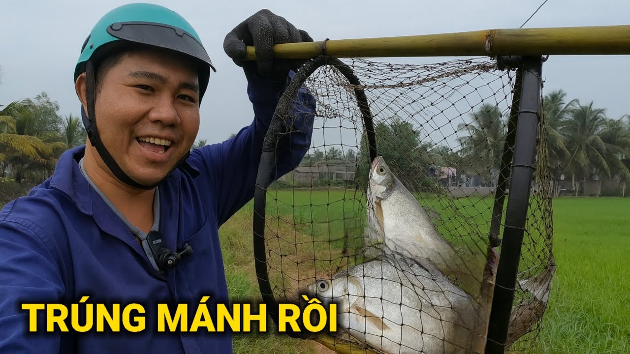 Niềm Vui Lớn Đến Bất Ngờ ✅️ Khi Trúng Mánh Trận Này Cá, Ếch Đồng Nhảy Soi Sói