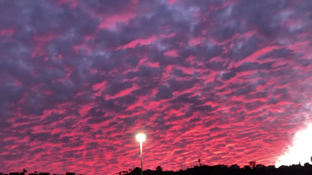 Is This the Best San Diego Sunset of 2025?!🌅🌆🌇2025 年聖地牙哥最美的夕陽?! 이게 2025년 샌디에이고 최고의 노을일까요?!🙈 #sunset