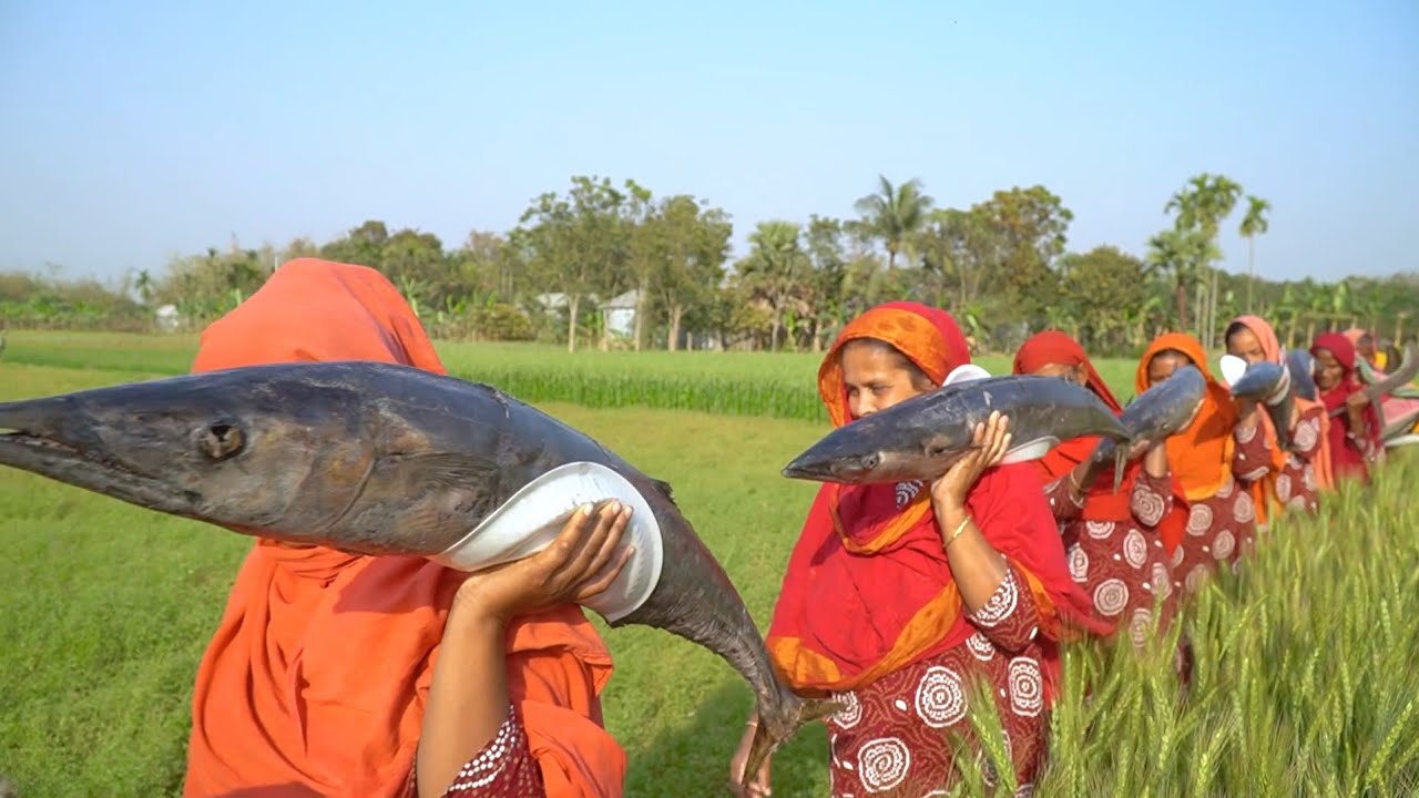 Ever Eat This Sea Fish? Wahoo Fish Cutting, Cooking & Eating in Village - Special Food for Villagers