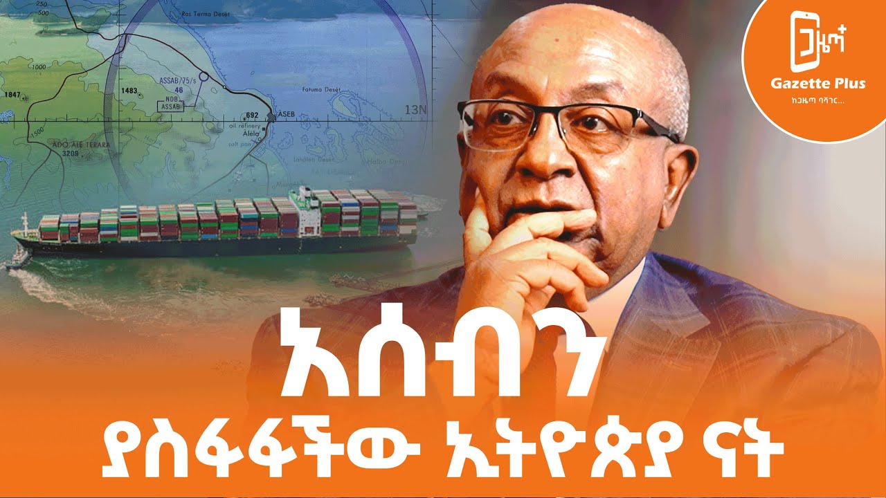 አሰብን ያስፋፋችው ኢትዮጵያ ናት | ፕሮፌሰር ብሩክ ሀይሉ ከጋዜጣ ፕላስ ጋር