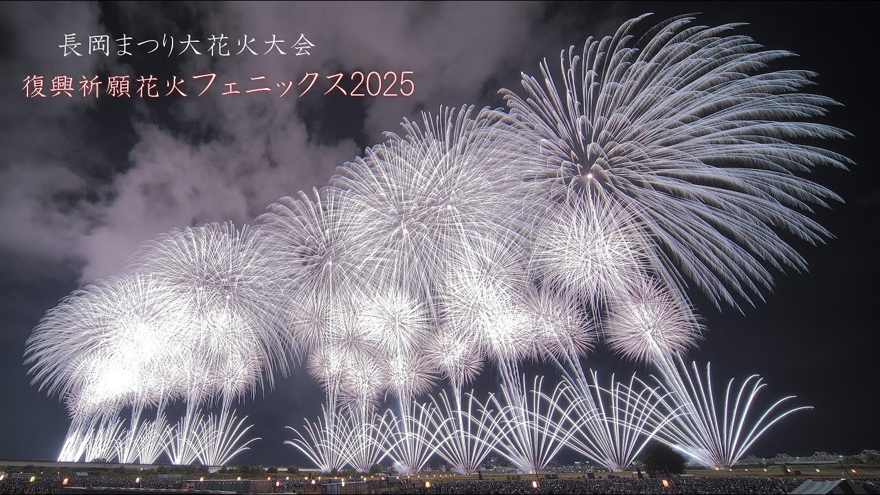 2025長岡花火「復興祈願花火フェニックス」20th　#fireworks #花火 #長岡花火　nagaoka fireworks 2025