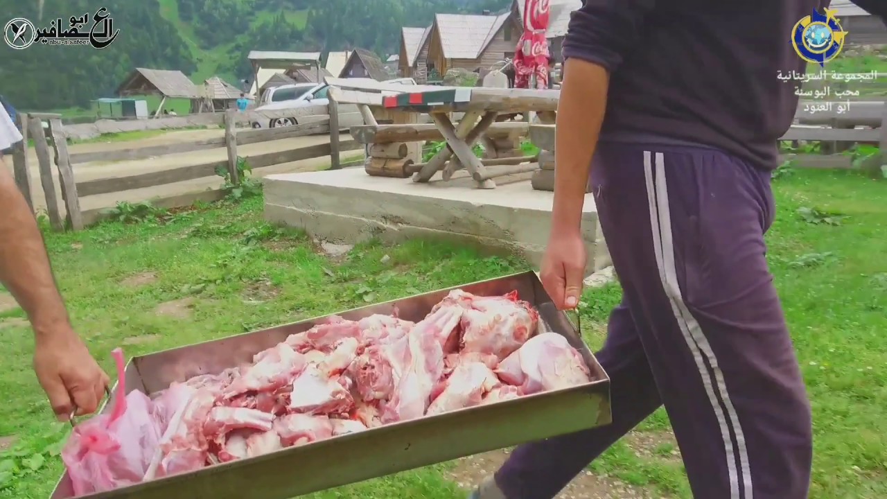 كشتة بوسنيه في بروكوشكو المجموعه السريتانيه السادسه، محب البوسنه ابو العنود، تصوير حسين الحميدي