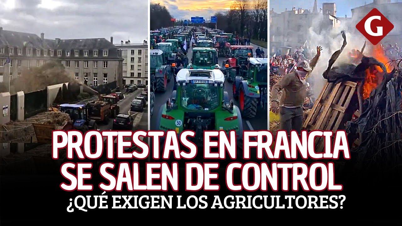 Agricultores hacen INCREÍBLES PROTESTAS EN FRANCIA: tiran estiércol y bloquean autopistas | Gestión
