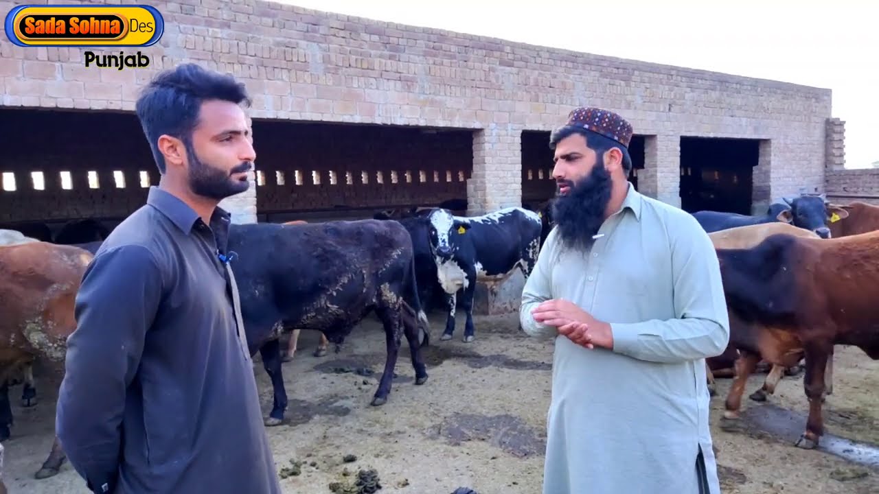 Bachra Farming 3 Month Business plan 2021