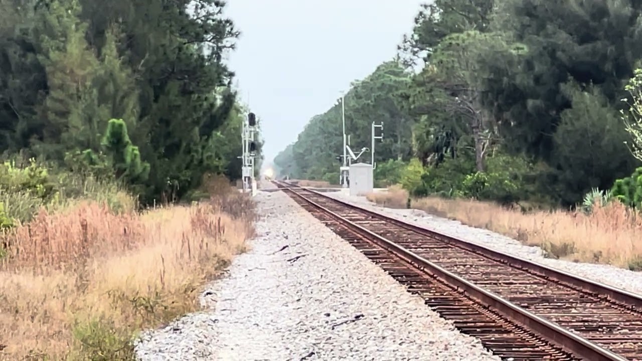 Now Approaching Amtrak Silver Meteor Northbound