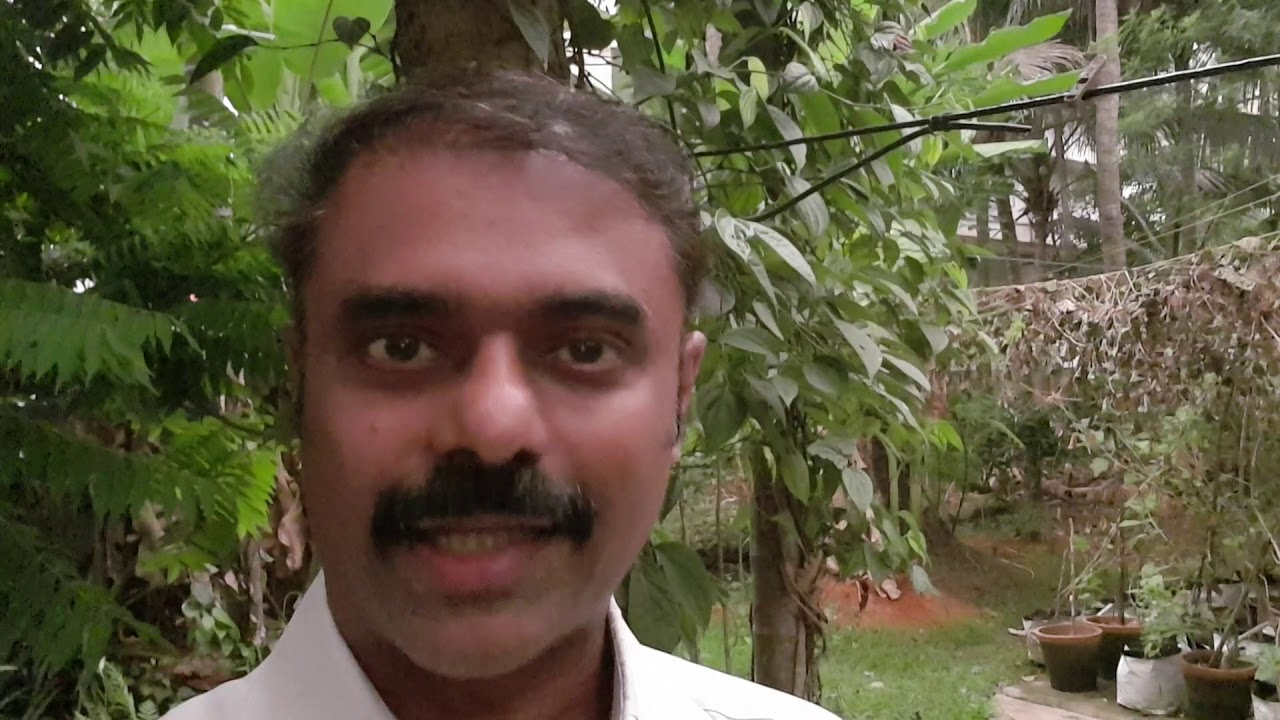What's is the caste of children of intercaste marriage?